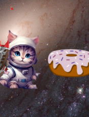 Cat Food Donut